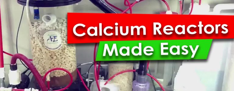 How Calcium Reactors work
