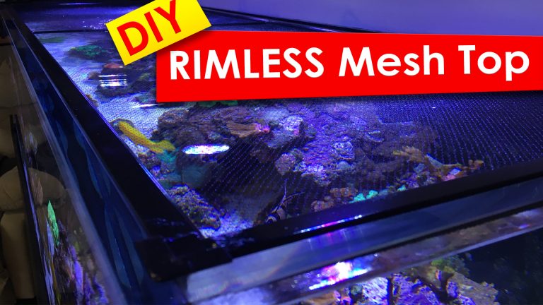 DIY Mesh Screen top for rimless tanks
