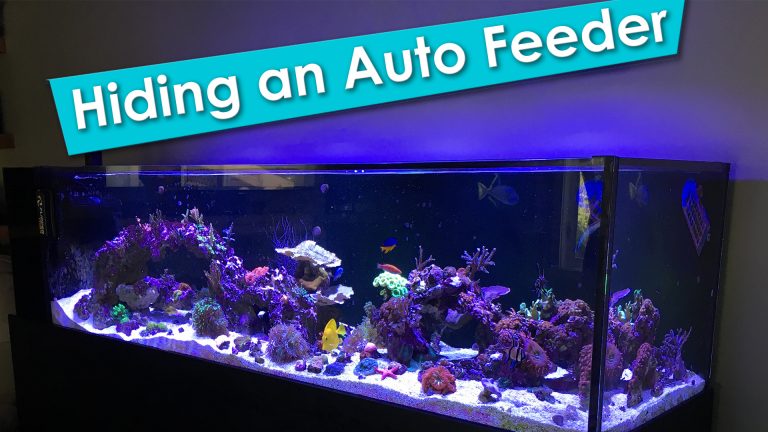 Hiding your Aquariums Auto Feeder
