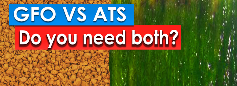 AskReefDudes: Do you need GFO with an Algae Turf Scrubber