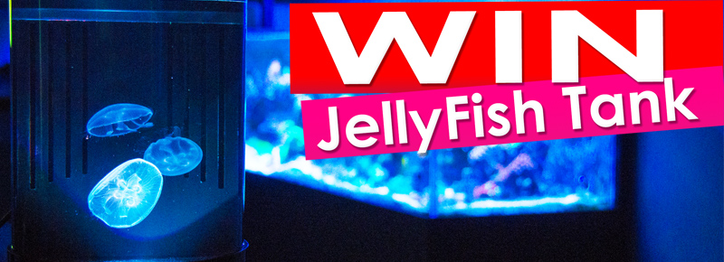 Do you want to Win a JellyFish Tank?!