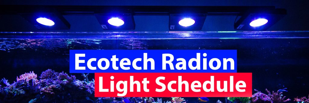 Ecotech Radion Light Schdule