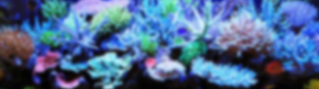 Ricos Nano Challenge 2018