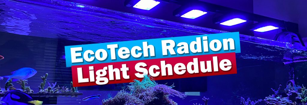 ReefDudes EcoTech Marine G5 Mobius Schedule