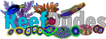 ReefDudes